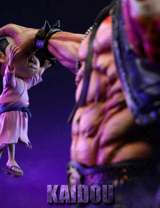 Mô hình C2 Studio - Kaido