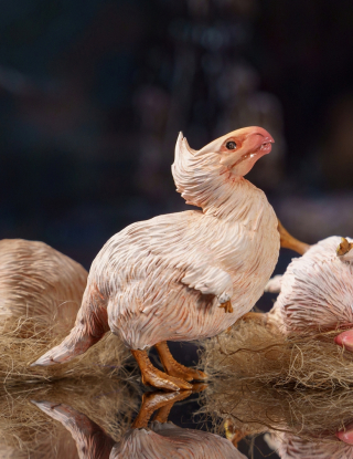 Mô hình Heroics Studio - MonsterHunterWilds Seikret‌